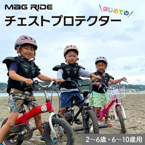 Mag Ride veN^[ `FXg p {ŏ݌v 2΂ 10 q gNX BMX XP{[ LbN{[h LbY WjA 3 ] LbNoCN oCN veN^[ y XgC_[ 