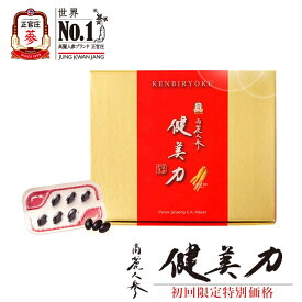 【初回限定】送料込み！正官庄 健美力 120粒　2ケ月分　1個　正官庄　けんびりょく　高麗人参　6年根　紅参　朝鮮人参　サプリメント　健康食品　美容　韓国　プレミアムな品質　ジンセノサイド　サポニン　更年期　贈り物　プレゼント　紅参精エブリタイム　エブリタイム