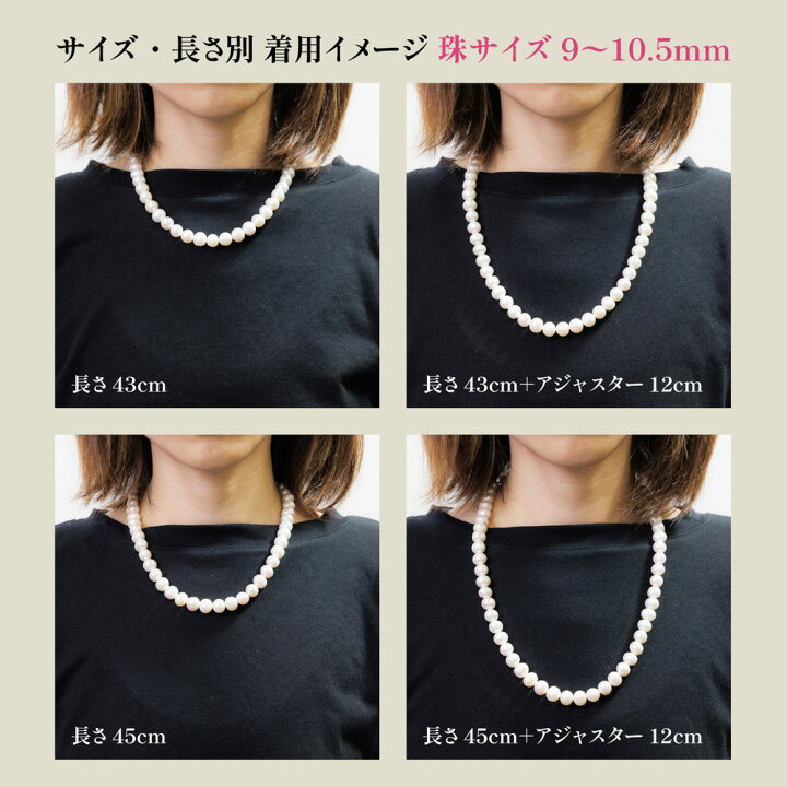 楽天市場】【在庫限り！限定特価】【インターネット限定販売】池蝶本  