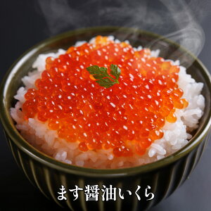 yʌzH̐El̖ݖyN[ցiⓀjz IHi }X CN