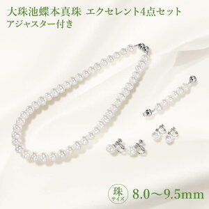 r{^ GNZg4_Zbg 8.0`9.5mm lbNX43cm܂45cm AWX^[t@߉\@^@p[@lbNX@CO@sAX@y_g@