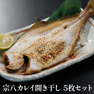 |݂ՂI@JCJ5ZbgyN[ցiⓀjz