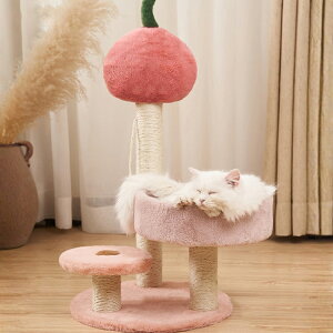 Lbg^[ Lbgc[ Lp xbh L^[  L L ˂ Lp Vя X ȃXy[X  ybgObY ybgpi 킢 ܌ VRTCU