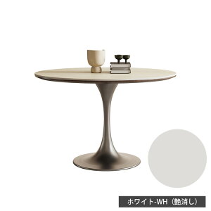 _CjOe[u ~e[u _CjO 90cm 2lp R[q[e[u Z~bN Ζڒ Pi 120 80cm k ubN  He[u 2l| 4lp  eB[e[u zCg H