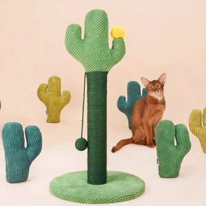 Lbg^[ L^[ Lbgc[ Lp 65cm ȃXy[X xbh  L L ˂ Lp Vя X  ybgObY ybgpi 킢 ܌ V