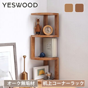 R[i[bN 3i ubNX^h 2i EbhbN  ؐ X 3i ǖʎ[ fBXvCbN VR RpNg i` R[i[ [ bN I fXNVFt  C