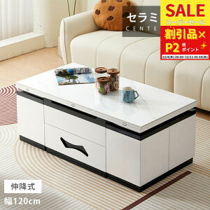 teBOe[u ~e[u 嗝Ε 120cm Z^[e[u i TChe[u rOe[u [e[u [t ot Z~bN Vv Lk C