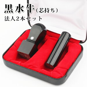 ЈӃZbg АݗZbg @lӃZbg Ј @l ӃZbg @lӃZbg \҈ s p [ɏ]2{Zbg s[]16.5mm+p21.0mm ӃP[Xt 
