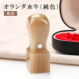 角印 社印 会社設立 角印 角印鑑 法人印鑑 はんこ 法人印 印鑑 はんこ 角印 代表者印 法人用 印鑑 ハンコ いんかん 法人 角印オランダ水牛 純色 会社角印 21.0mm パン型印鑑ケース付き 宅配便送