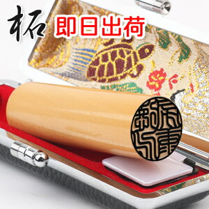 yyz12܂œς݂̂͑o!! Es F F߈󑗗  񂩂10Niۏ؁EXs[ho  10.5mm`18mm I z } 