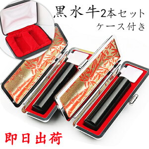 y o  ͂ lӃZbg    j s F 2{Zb ӃP[Xt 2{Zbg TCYIׂ ӃP[X[/]2t σP[Xt z 