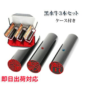 y  ͂ 3{Zbg  s F nR q O  쐬 j q  V lj {s{F 3{Zbg A^3t{ӃP