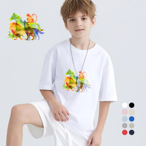 tVc TVcLbY j̎q ̎q ǂ jZbNX gbvX q ۈ牀 ^ ct ւ ĕ 傫TCYTVc Y fB[X  Rbg Jbg\[ u