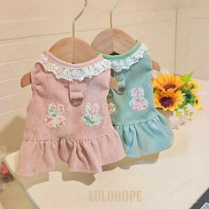    ̕ ^Ngbv s[X t hbgLn[lXOt FȂhbOEFAt  t ĕ   ̎q gC