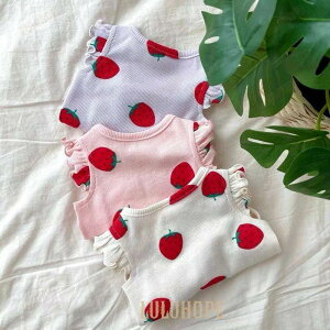  ĕ  ybg ybgObYybgEFA ̕pm L_炩 ʋC Ȃj̎q̎qCX^fіh~