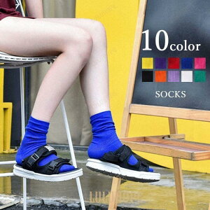 N[\bNX J[\bNX C \bNX fB[X  wl t@bV F rrbgJ[ n PF Vv