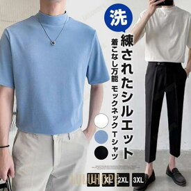 モックネック Tシャツ メンズ 半袖 ゆったり カジュアル プチハイネック 半袖Tシャツ カットソー スポーツ 無地 夏 ゴルフシャツ