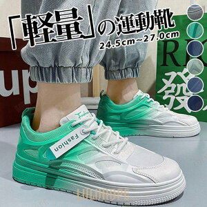 Xj[J[ X|[cV[Y Y X|[c ₷ tbgV[Y JWA jOV[Y ^C ɂ ʊw ʋ y Of[V