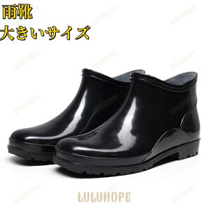 Cu[c Y C CV[Y JC h ɂ Vv  V[g rWlX 傫TCY ʋ ʊw  hH i ₷ jp AEghA s x