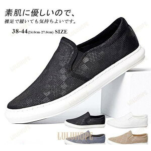 Xb| Y Xj[J[ LoX amC [Jbg ʊw ʋ y ʋC ؂ ₷ ₷ JWA rWlX  ؍