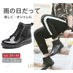 CV[Y Y Cu[c o[V[Y Xj[J[ [XAbv ҂ݏグ h Jp ƌC dp ~JΉ h  rWlX JWA