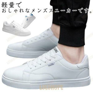 Y ʋ t fB[X Xj[J[ yA j̎q zCg C V[Y JWA ̎q H  ʊw Xj[J[ d Vv