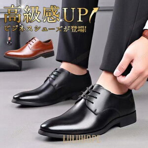 rWlXV[Y Y U[ vC L N[g amC Ў  ʋ ₷  ItBX tH[} AE 