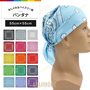 yyCY[ 唻X^CzXJ[t o_i 唻nJ` 55cm yCY[  t@bVANZT[ wAS obOR[fBO