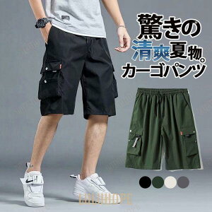 J[Spc Y{ Y V[gpc Zp 傫TCY  rbOVGbg V[gpc 5 {gX ڐG⊴ z