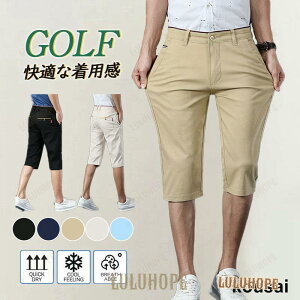 Stpc n[tpc Y  StEFA ̓ {gX Xgb` `mpc  G Y{  AEghA 