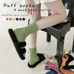 EfUCN[\bNX fB[X  2024H~V ȍ z ʋC Xgb` G ubN zCg x[W O[ v[g