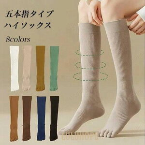 ܖ{w nC\bNX fB[X C hL ܖ{wnC\bNX u\bNX  5{w\bNX nC  z ȍ n ܖ{wC X|[c