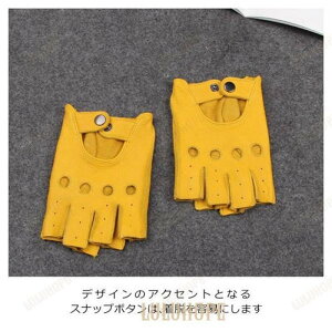 v  ~ ʋC t hCrOO[u wO[u PUU[O[u I[vtBK[O[u H  jp tBK[