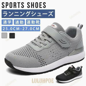 YX|[cXj[J[ EH[LO/jOp 2024V y NbV ʋC  􂦂 ig W g[jO 傫TCY ɂ݌v