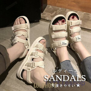 T_ fB[X X|[cT_ r[`T_ T}[   Xj[J[T_ }WbNe[v  JWA V[Y w  ʋ ʊw