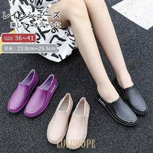 CV[Y fB[X CpvX JC o[V[Y Xb| ₷ ₷ ~J΍ JWA  h hJ 