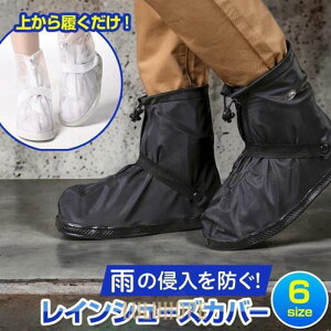 CV[YJo[ fB[X Y V[YJo[  C Cu[c CV[Y JC h CJo[  J C V[Y  