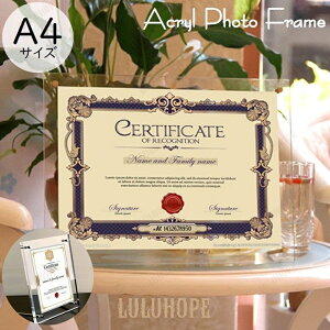 tHgt[ A4 AN ʐ^  NAt[ X^h^Cv cu u p X^ht  |X^[t[ \ G