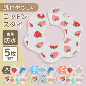 X^C 360 xr[X^C 360x 5Zbg K[[ Rbg   h oYj Mtg xr[ xr[Gv 悾ꂩ V