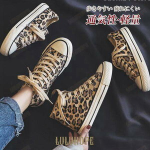 Xj[J[ fB[X tbg qE ^ LpX [Jbg nCJbg V[Y Ȃ JWA ʋC C  