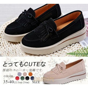 Xb| fB[X [t@[ Vv JV  ʊw ʋ r ₷ tbg JWA 8F傫TCY