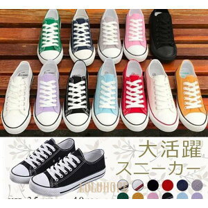 Xj[J[ fB[X LoX [XAbvV[Y ҂ݏグ ₷ V[Y ʊw ʋ r JWAV[Y S12F