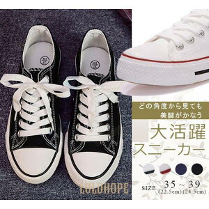 Xj[J[ fB[X LoX [XAbvV[Y ҂ݏグ ₷ V[Y ʊw ʋ r JWAV[Y S4F