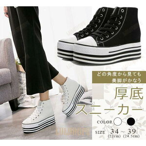 Xj[J[ fB[X LoX  Cq[ [XAbvV[Y ҂ݏグ ʊw ʋ r JWAV[Y S2F 傫TCY