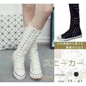 Xj[J[ fB[X LoX O t@Xi[t ₷  ҂ݏグ ₷ V[Y ʊw ʋ r JWA S2F 傫TCY