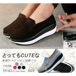 Xb| fB[X [t@[ Vv JV  XG[h ʊw ʋ r ₷ ₷ tbg JWA 5F 傫TCY