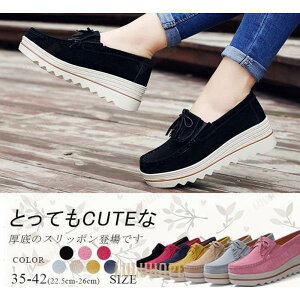 Xb| fB[X [t@[ Vv JV  XG[h ʊw ʋ r ₷ ₷ tbg JWA 7F 傫TCY