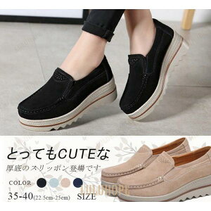 Xb| fB[X [t@[ Vv JV  XG[h ʊw ʋ r ₷ ₷ tbg JWA S4F 傫TCY