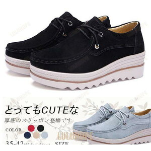 Xb| fB[X [t@[ Vv JV  XG[h [XAbv ʊw ʋ r ₷ tbg JWA S5F 傫TCY