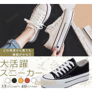 Xj[J[ fB[X V[Y fjXj[J[ r ₷ n nCq[ X|[c _XV[Y  [XAbvV[Y q[F3CM